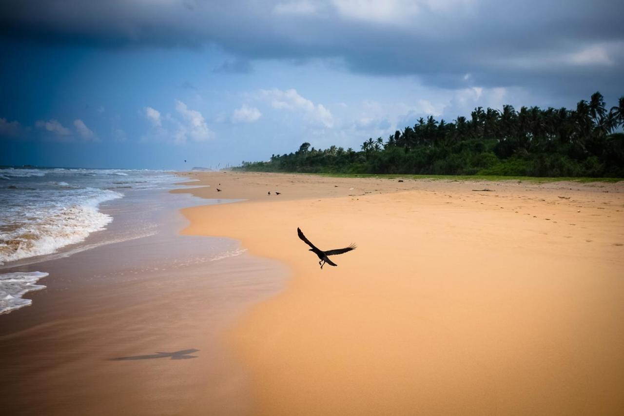 Sanda Eliya Resort Bentota Kültér fotó
