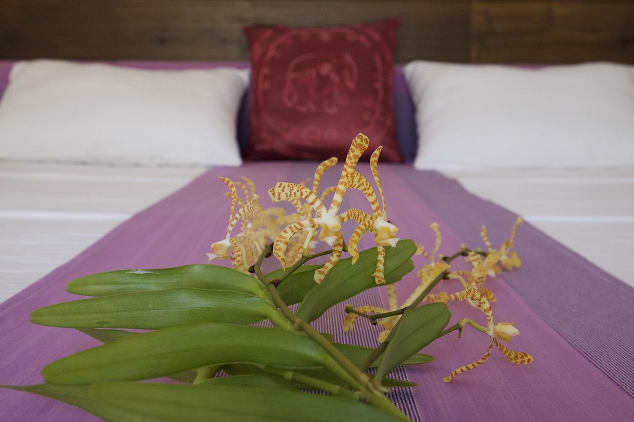 Sanda Eliya Resort Bentota Kültér fotó